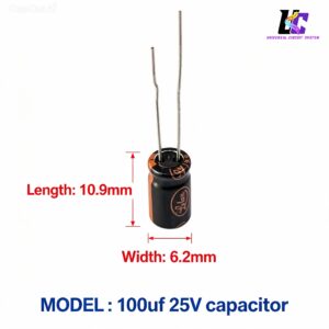100uF 25V Electrolytic Capacitor